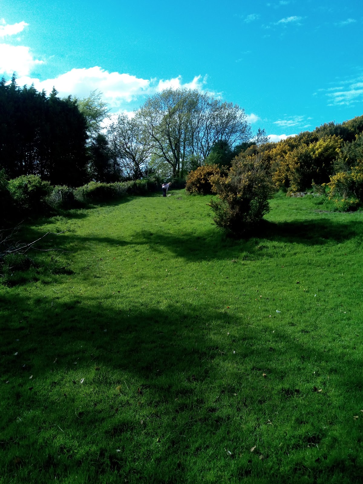 Glebe House photo 4