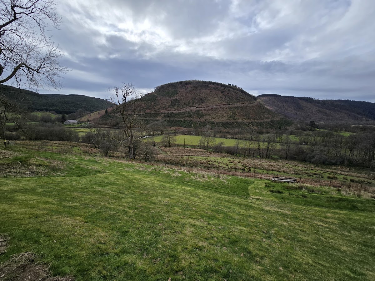 Kilsby House & Cottage photo 4