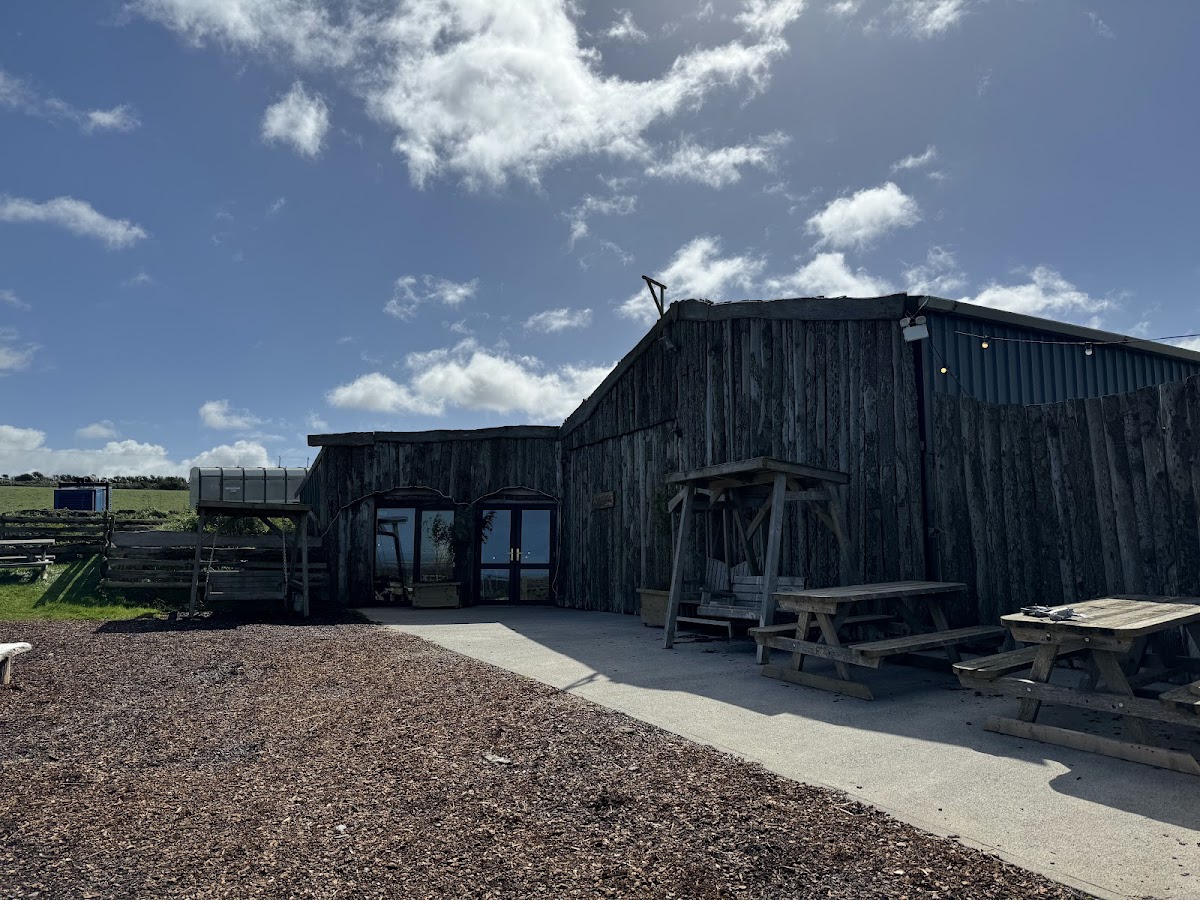 The Shed at Mwnt photo 5