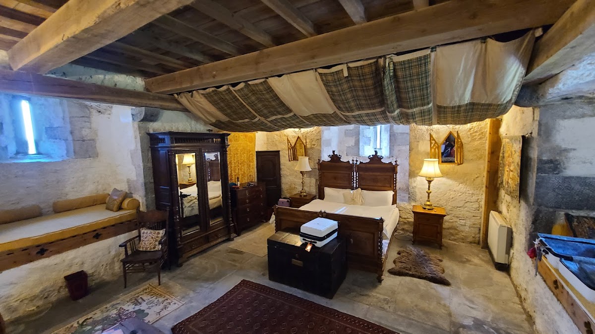 Turin Castle Ireland photo 3