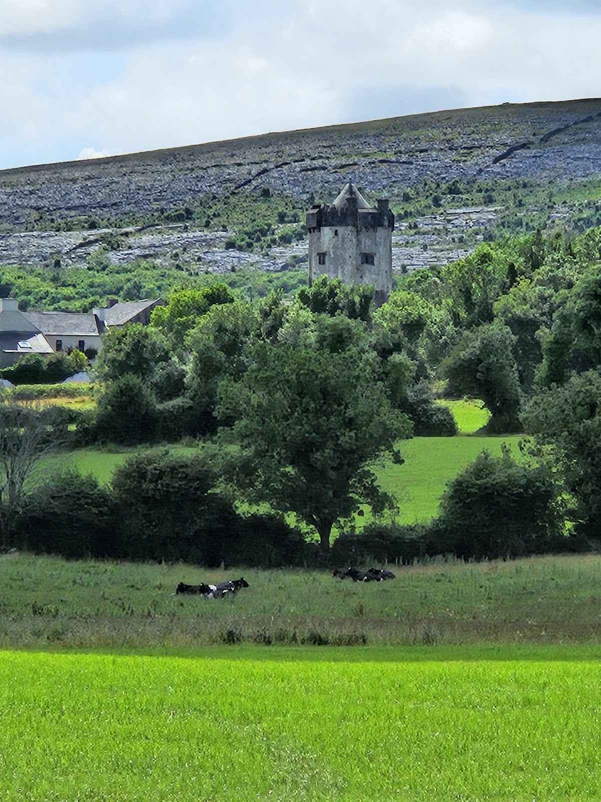Newtown Castle photo 3
