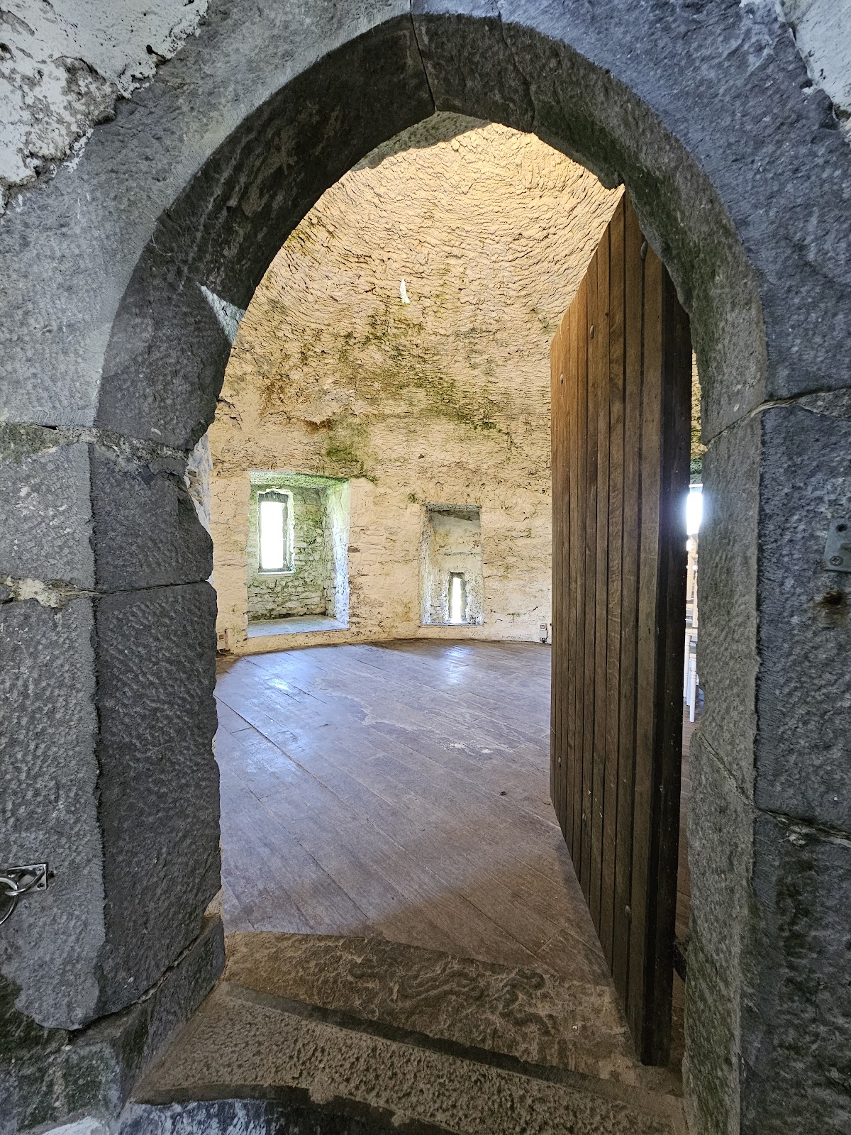 Newtown Castle photo 4