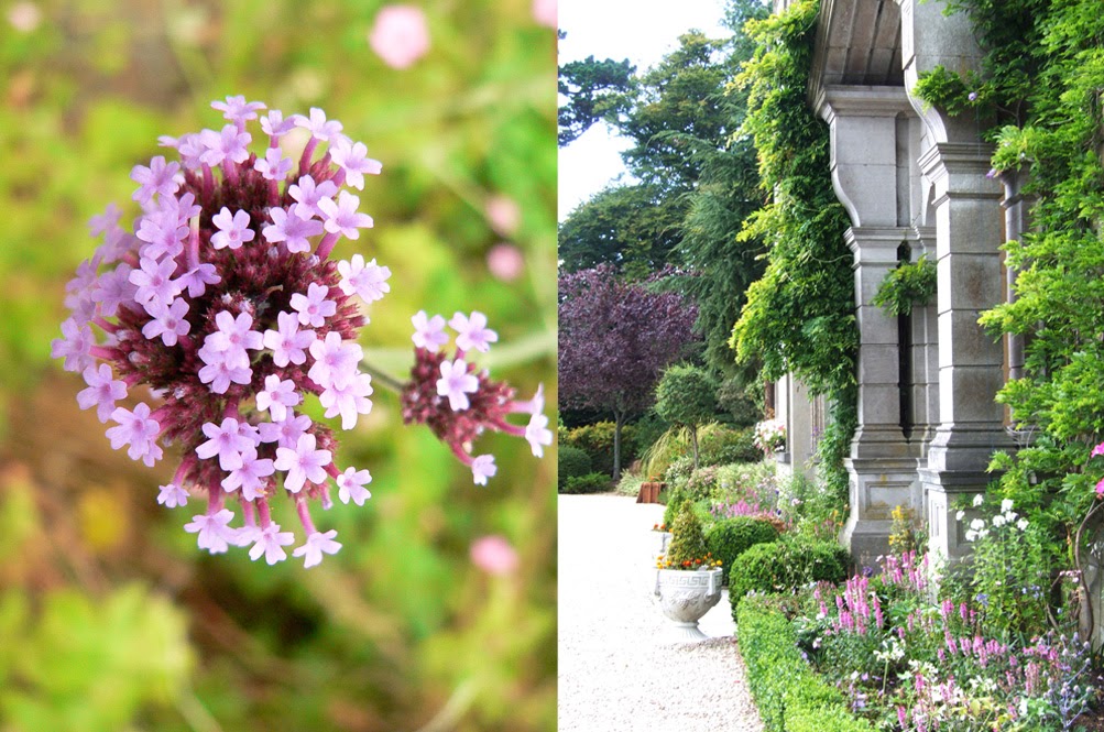 Tinakilly Country House photo 4