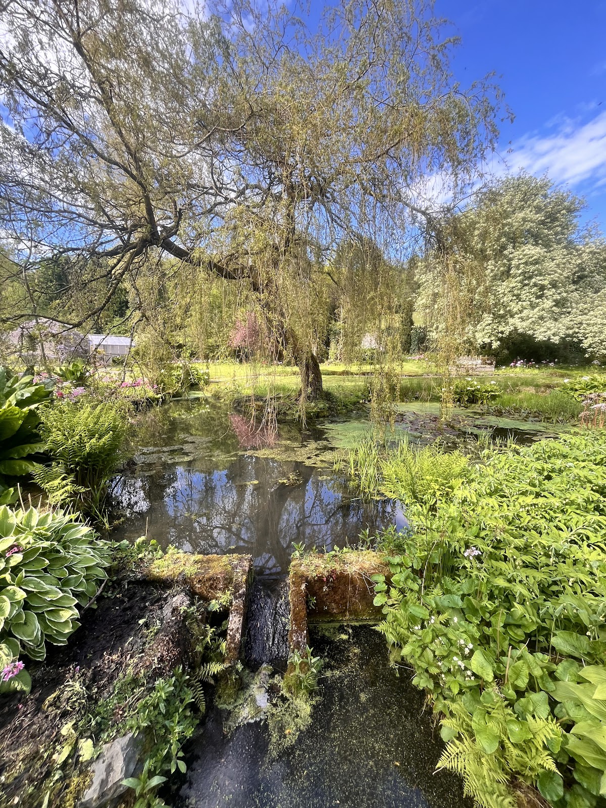 Dunmore House & Gardens photo 4