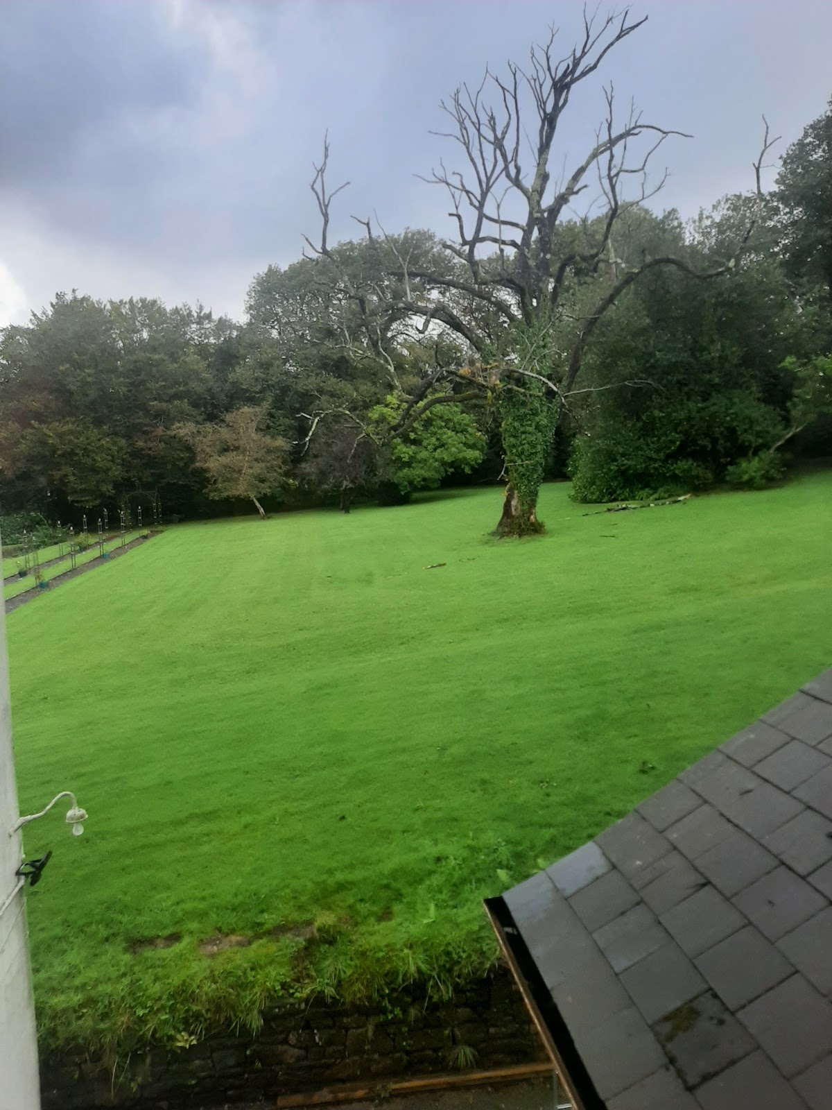 Court Colman Manor Hotel photo 5