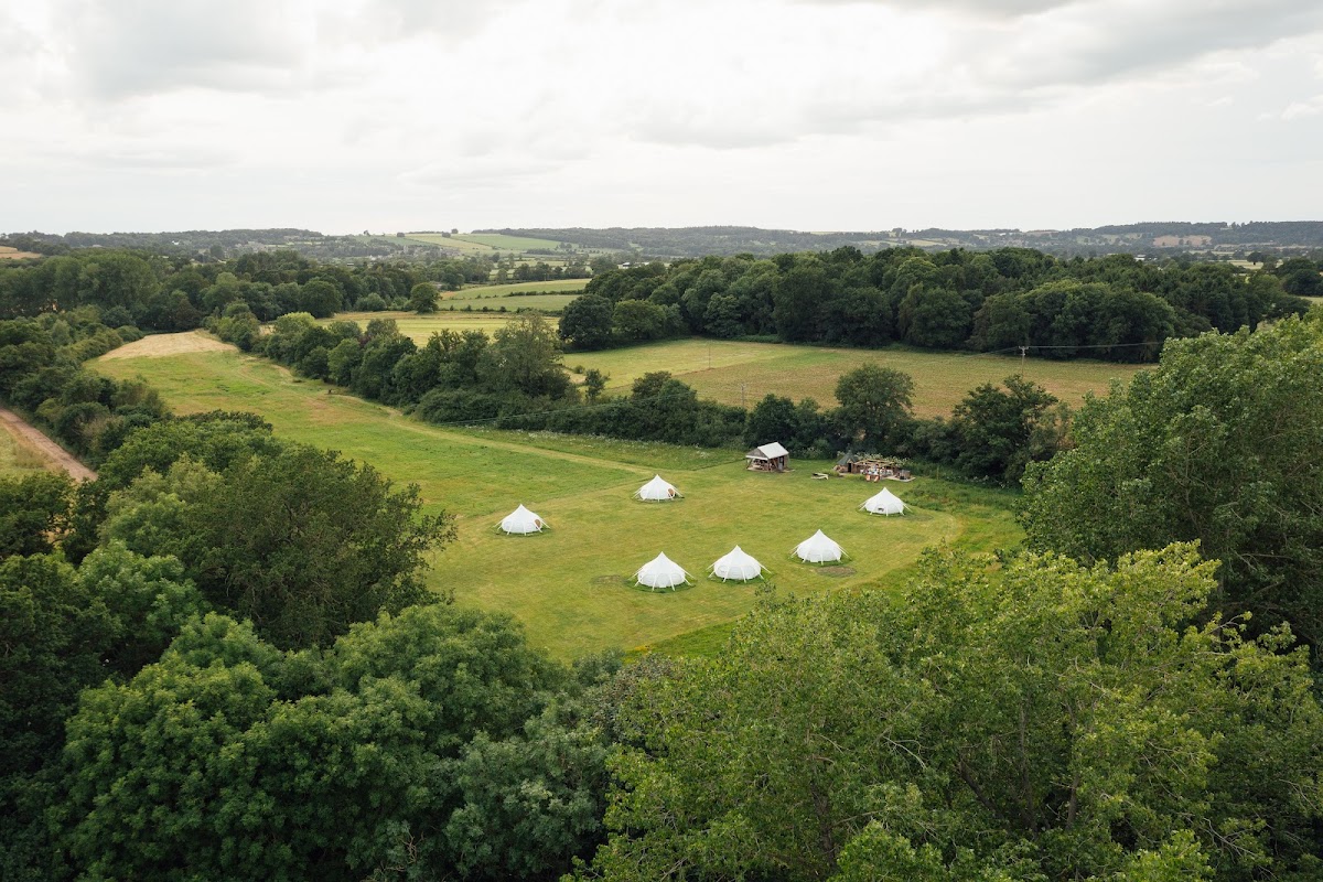 WildWoodBluebell - Weddings and Glamping photo 2