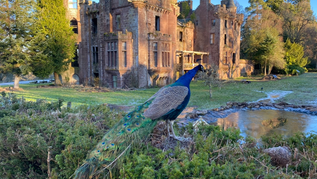 Culdees Castle Estate - castle wedding venue in Culdees Castle, Perth and Kinross
