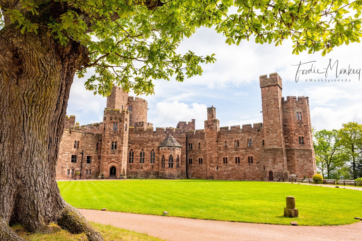 Peckforton Castle photo 2
