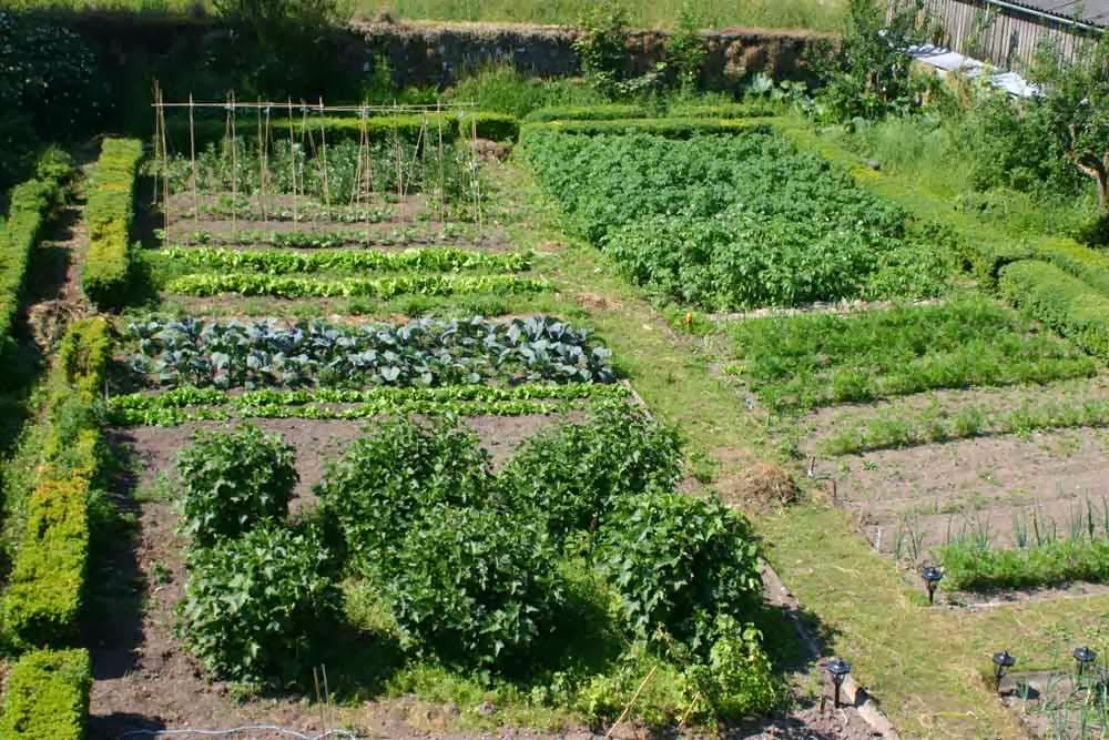 Cormiston Farm photo 4