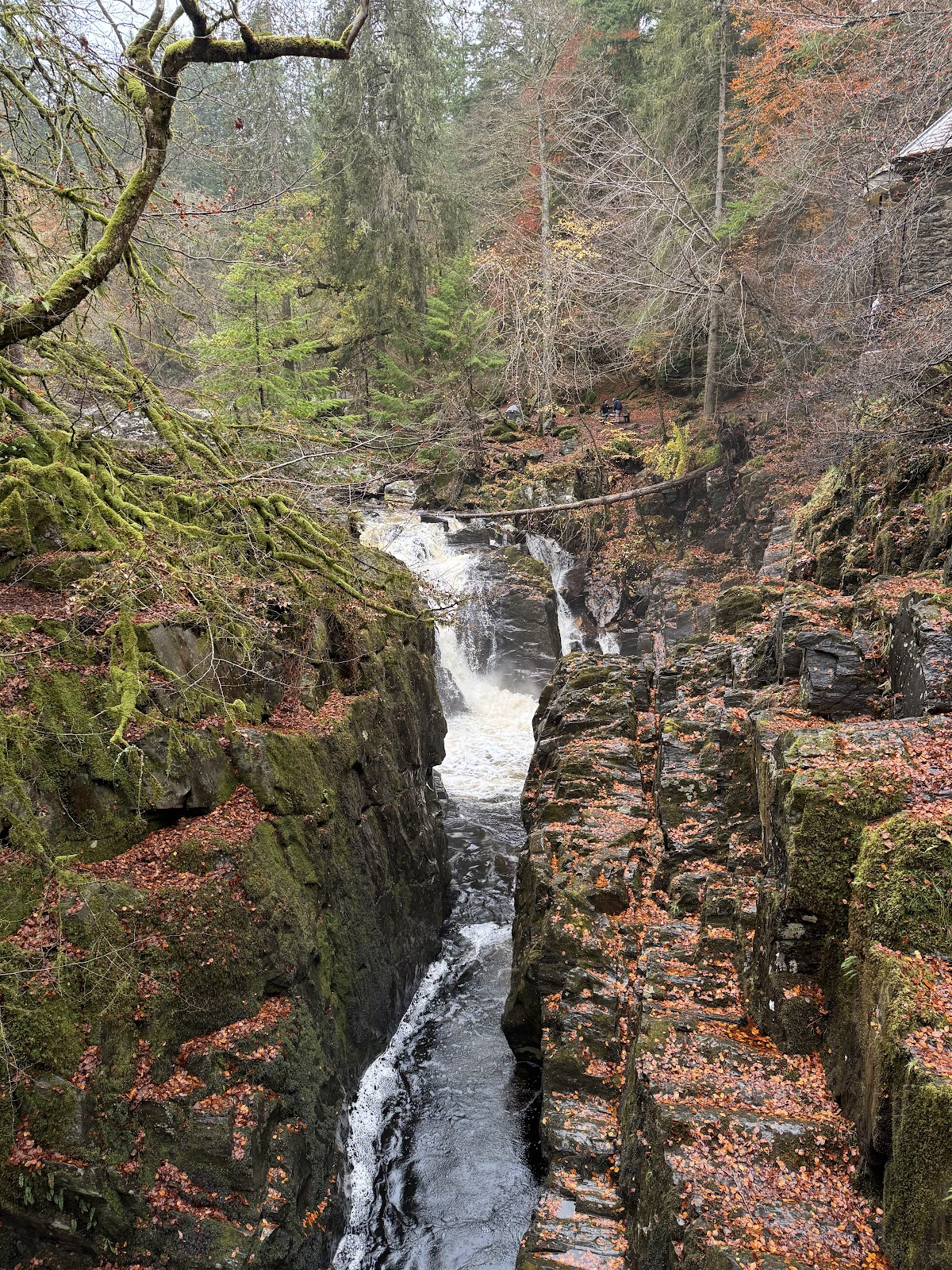 The Hermitage photo 2