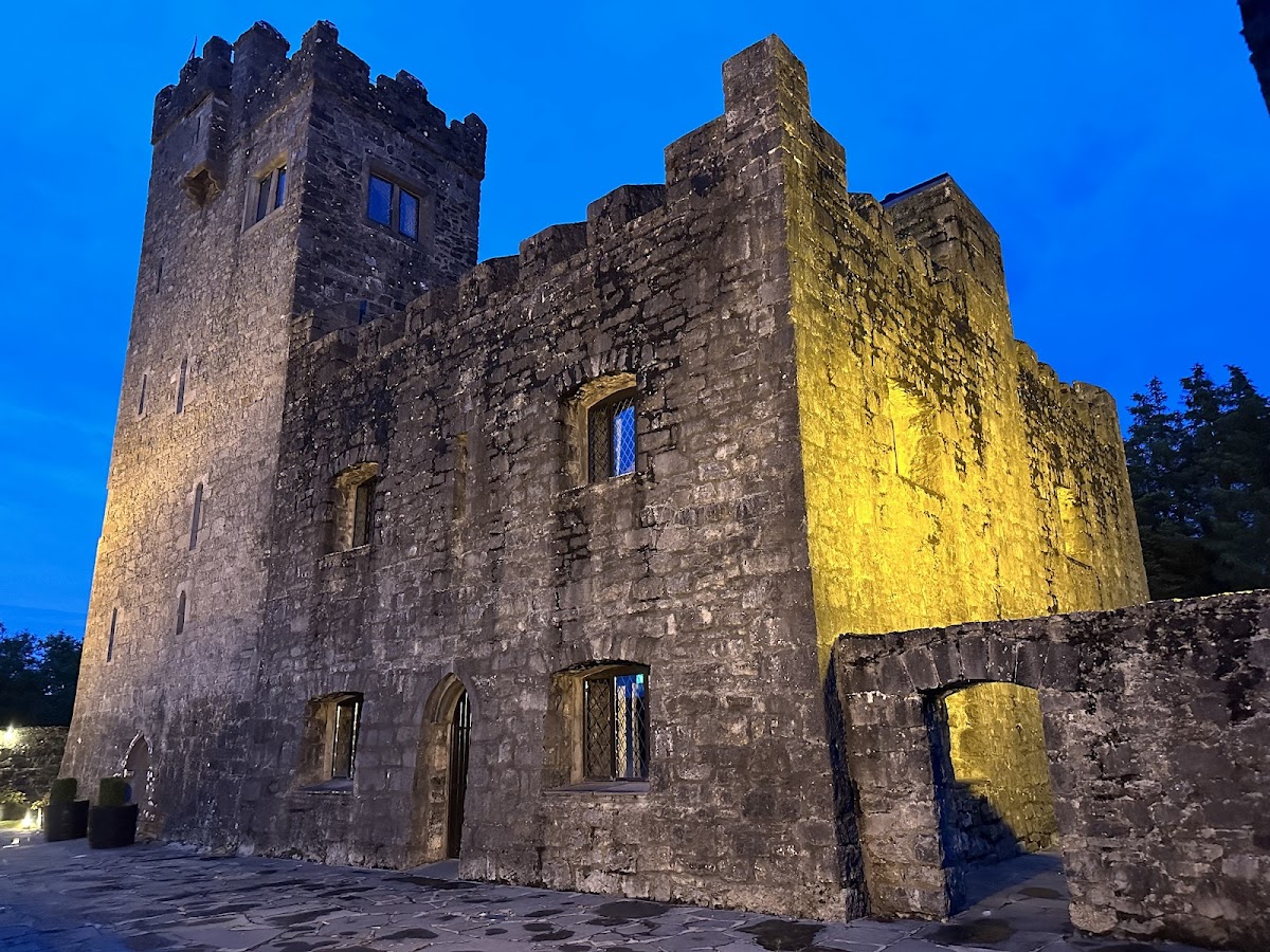 Cloghan Castle photo 2