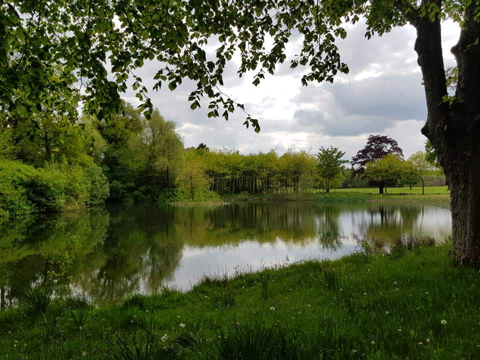 Coolcarrigan House & Gardens photo 3