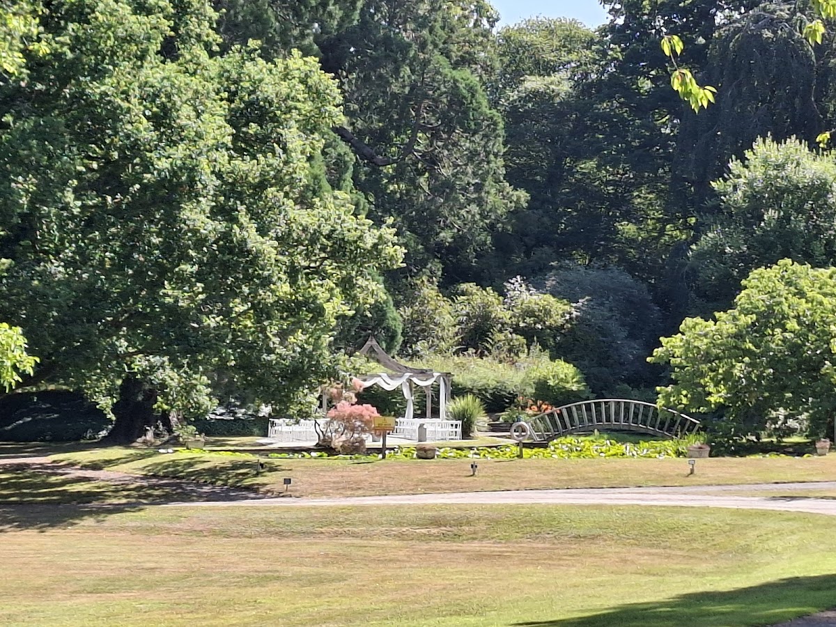 Cefn Tilla Court photo 3