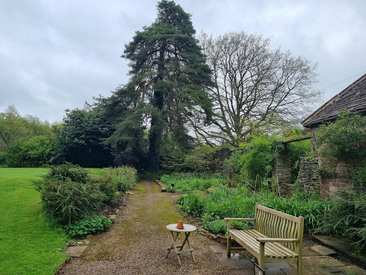 Cefn Tilla Court photo 4